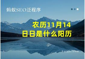 农历11月14日日是什么阳历