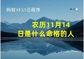 农历11月14日是什么命格的人