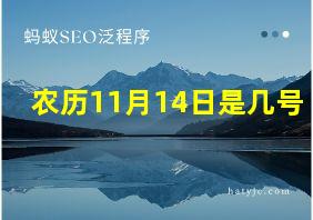 农历11月14日是几号