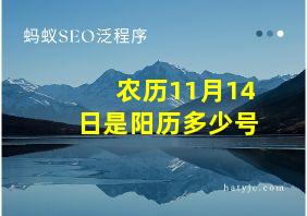 农历11月14日是阳历多少号