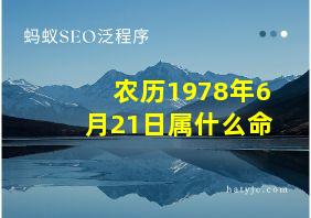 农历1978年6月21日属什么命