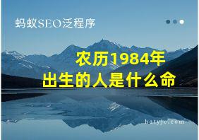 农历1984年出生的人是什么命