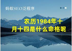 农历1984年十月十四是什么命格呢