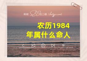 农历1984年属什么命人