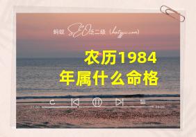 农历1984年属什么命格