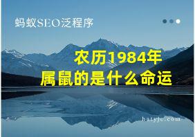 农历1984年属鼠的是什么命运