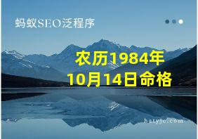 农历1984年10月14日命格