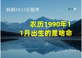 农历1990年11月出生的是啥命