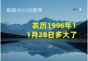 农历1996年11月28日多大了