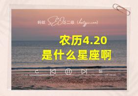 农历4.20是什么星座啊