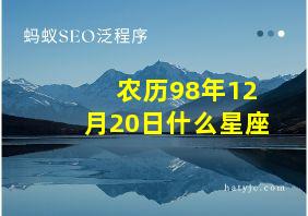 农历98年12月20日什么星座