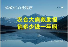 农合大病救助报销多少钱一年啊