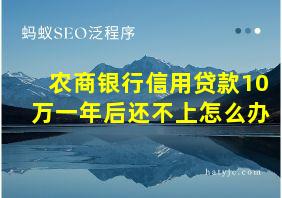 农商银行信用贷款10万一年后还不上怎么办