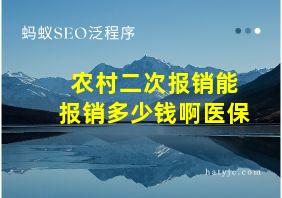 农村二次报销能报销多少钱啊医保