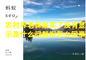 农村养老保险买了没有显示是什么问题啊怎么回事