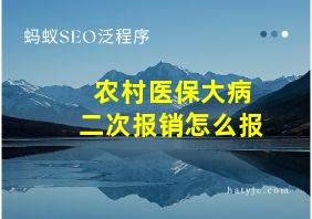 农村医保大病二次报销怎么报