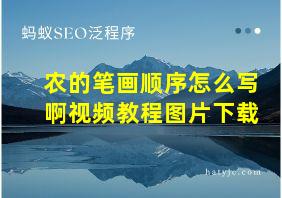 农的笔画顺序怎么写啊视频教程图片下载