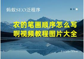 农的笔画顺序怎么写啊视频教程图片大全