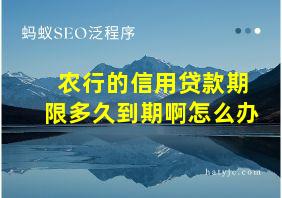 农行的信用贷款期限多久到期啊怎么办