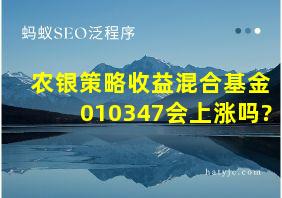 农银策略收益混合基金010347会上涨吗?