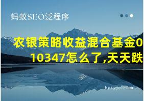 农银策略收益混合基金010347怎么了,天天跌