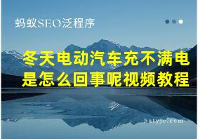 冬天电动汽车充不满电是怎么回事呢视频教程