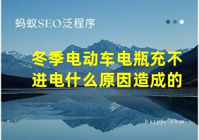 冬季电动车电瓶充不进电什么原因造成的