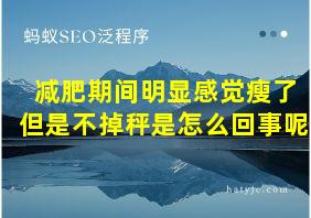 减肥期间明显感觉瘦了但是不掉秤是怎么回事呢