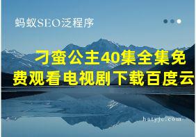 刁蛮公主40集全集免费观看电视剧下载百度云