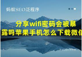 分享wifi密码会被暴露吗苹果手机怎么下载微信