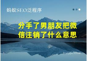 分手了男朋友把微信注销了什么意思