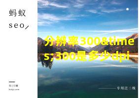 分辨率300×300是多少dpi