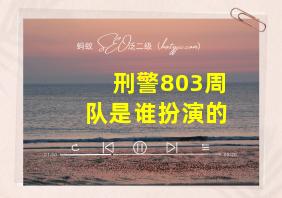 刑警803周队是谁扮演的