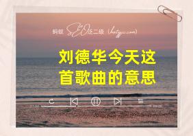 刘德华今天这首歌曲的意思