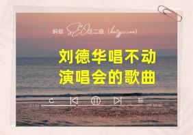 刘德华唱不动演唱会的歌曲