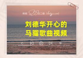 刘德华开心的马骝歌曲视频