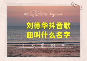 刘德华抖音歌曲叫什么名字