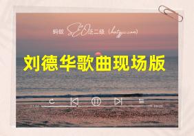 刘德华歌曲现场版