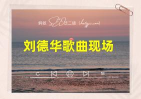 刘德华歌曲现场