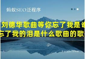 刘德华歌曲等你忘了我是谁忘了我的泪是什么歌曲的歌词