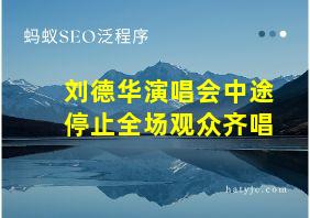 刘德华演唱会中途停止全场观众齐唱