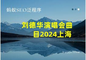 刘德华演唱会曲目2024上海