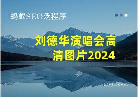 刘德华演唱会高清图片2024