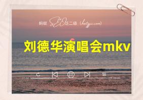 刘德华演唱会mkv