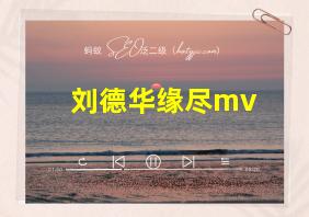 刘德华缘尽mv