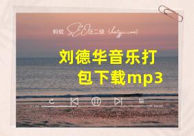 刘德华音乐打包下载mp3