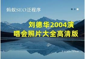 刘德华2004演唱会照片大全高清版