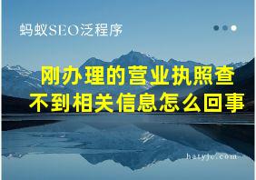 刚办理的营业执照查不到相关信息怎么回事