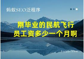 刚毕业的民航飞行员工资多少一个月啊