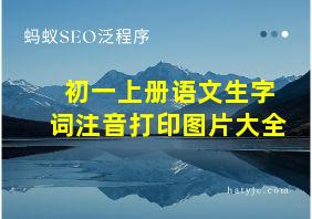 初一上册语文生字词注音打印图片大全